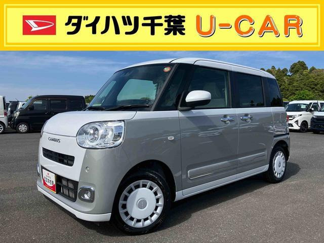 ムーヴキャンバス  ストライプス G