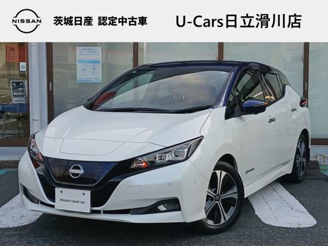 リーフ G 