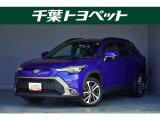 【メイン】 千葉・茨城・埼玉・東京・神奈川での登録、及びご来店いただける方への販売に限らせていただきます。