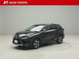 NX 300h Iパッケージ 