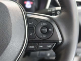 ステアリングスイッチ付き。前方から目を離すことなく操作することが可能です。