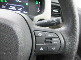 Honda SENSING搭載【アダプティブクールーズコントロール、車線維持システム】