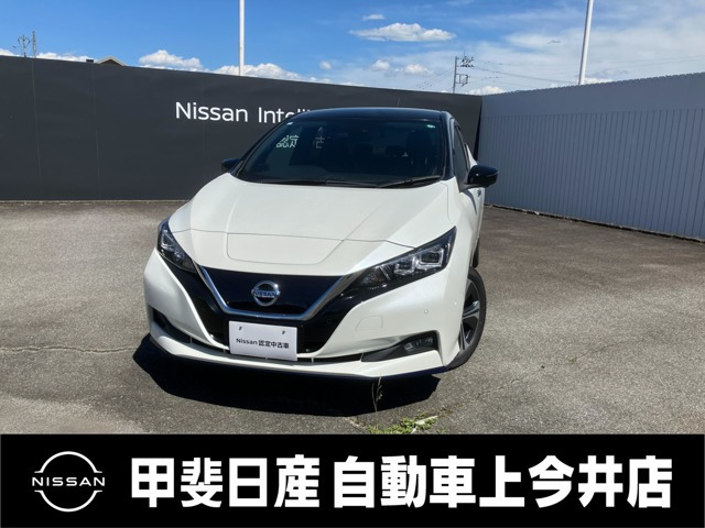 リーフ e+ G 