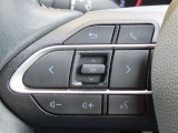 ブルートゥースに接続すれば、スマホに入れている音楽が聞けたり運転中に電話がかかってきてしまった場合もハンドルから電話を取ることができます!