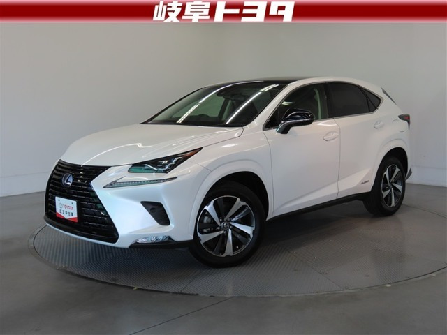 NX 300h ブラック シークエンス