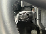 高速道路などで定速走行する際、アクセル操作から開放させてくれるクルーズコントロールを装備。安心のスピードリミッター機能も付いてます。