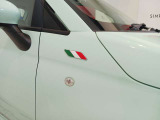 イタリアンフラッグフェンダーバッジ