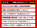 LS 460 バージョンL マクレビリアエンター 全画面SDナビ