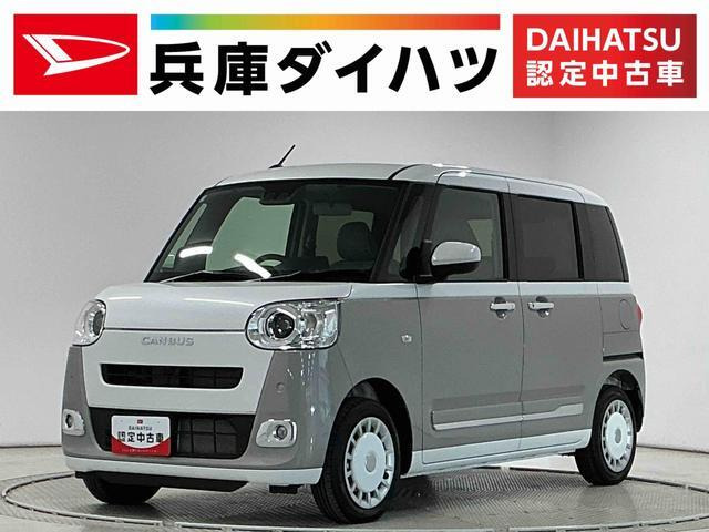 ムーヴキャンバス  ストライプス G