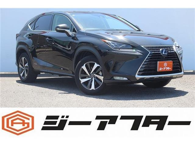 NX 300h バージョンL 