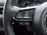 オーディオの音量やチャンネル操作ができるスイッチが、ハンドルに付いています。運転中でも、操作が行えて非常に安全・便利です!