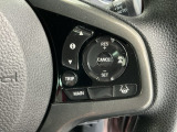 アクセルから足を離しても設定したスピードを保ち走行し、高速道路での疲労軽減に役立つクルーズコントロール付きです!