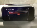 TCS(トラクションコントロールシステム)&DSC(横滑り防止機構)やBSM(隣車線上の側・後方からの車両接近を通知)、LDWS(車線逸脱警報システム)で安全運転をサポート!
