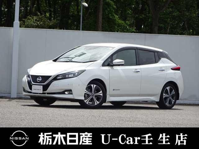 リーフ G 