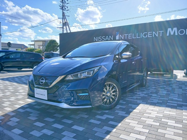 リーフ AUTECH 