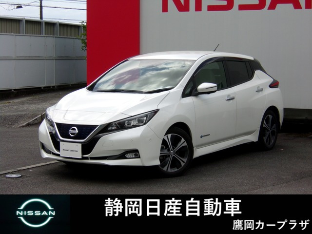 リーフ G 