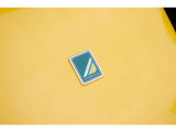 今では珍しいスクエアタイプのケータハムエンブレムを採用。