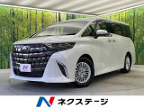 純正9.8型ディスプレイ 13.2型有機ELフリップダウン 全周囲カメラ