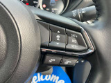 登録した速度に保ち走行するレーダークルーズコントロール付き。高速やバイパスでの運転支援に役立つ便利アイテムです!