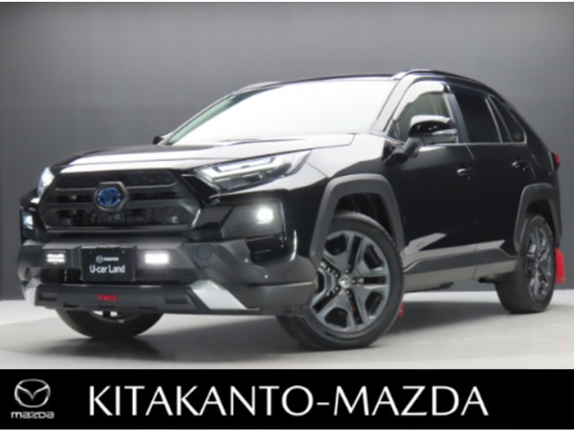 RAV4  2.5 ハイブリッド アドベンチャー E-Four 4WD