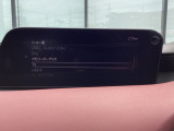 さまざまなオーディオソースが楽しめます!地デジつき!スマホとの連動も楽々です♪