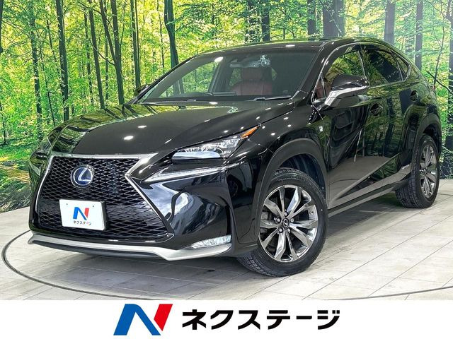 NX 300h Fスポーツ 