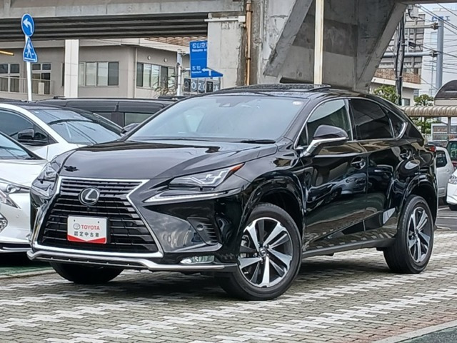 NX 300 スパイス&シック