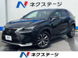 沖縄県内での販売・登録が条件※宮古島除く