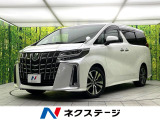 11型BIG-X 両側電動ドア 後席モニター バックカメラ 衝突被害軽減