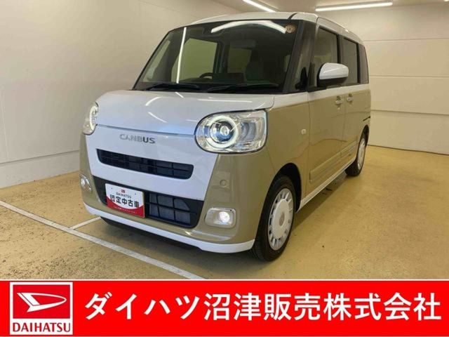 ムーヴキャンバス  ストライプス G