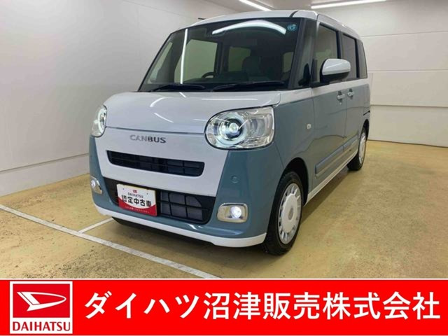 ムーヴキャンバス  ストライプス G
