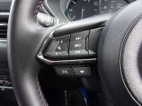 オーディオの音量やチャンネル操作ができるスイッチが、ハンドルに付いています。運転中でも、操作が行えて非常に安全・便利です!