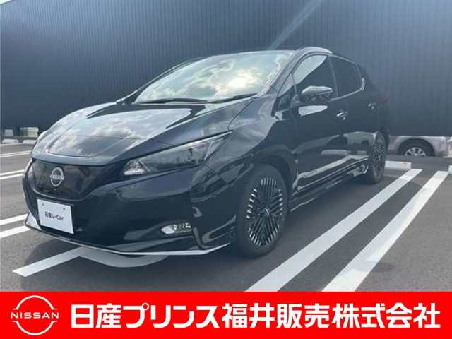 リーフ e+ G 