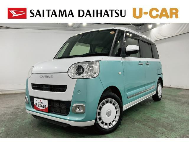 ムーヴキャンバス  ストライプス G