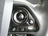 ステアリングスイッチで車両情報を切り替えて必要な必要な情報を確認したりできます。ハンドルヒーターもついています。