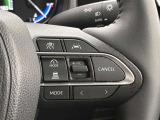 前方の車との車間を設定し、スピードを上げたり緩めたりを自動で行ってくれる追尾式の「レーダークルーズ」。上級装備の一つです!高級車にしかつかない嬉しい機能です。