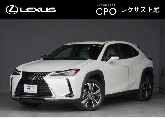 UX 250h バージョンL 