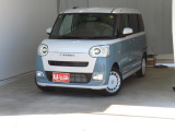 ムーヴキャンバス  ストライプス G