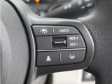 ◆アダプティブクルーズコントロール◆予め設定した車速内でクルマが自動的に加減速。前走車との適切な車間距離を維持しながら追従走行します。【LKAS】車線維持支援システムでステアリング操作を支援。