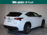 色は人気のホワイトノーヴァガラスフレークです。