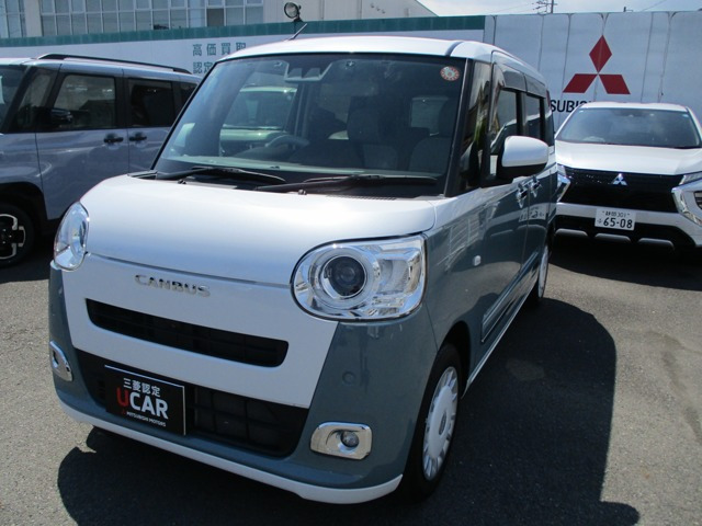 ムーヴキャンバス ストライプス G 