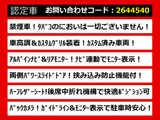 エルグランド 2.5 ハイウェイスター ローダウン 両自ドア 禁煙