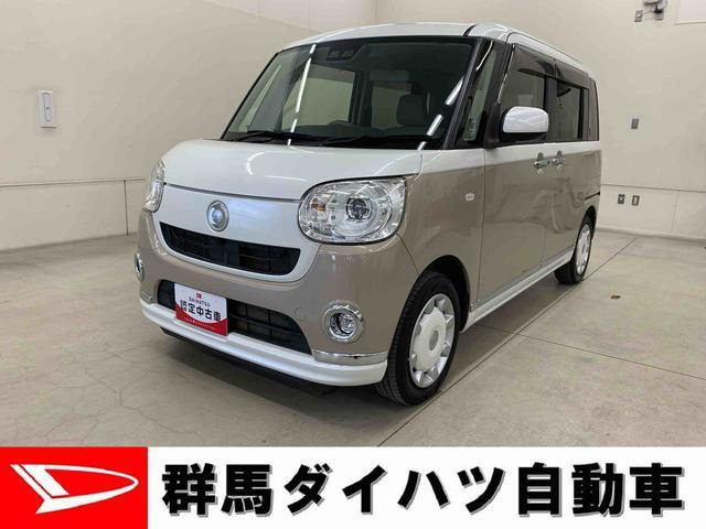 ムーヴキャンバス G メイクアップ SAIII 