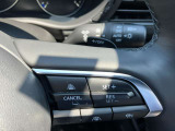 全車速追従機能付(MRCC)アクセルを離しても前方の車に合わせて走行ができます。