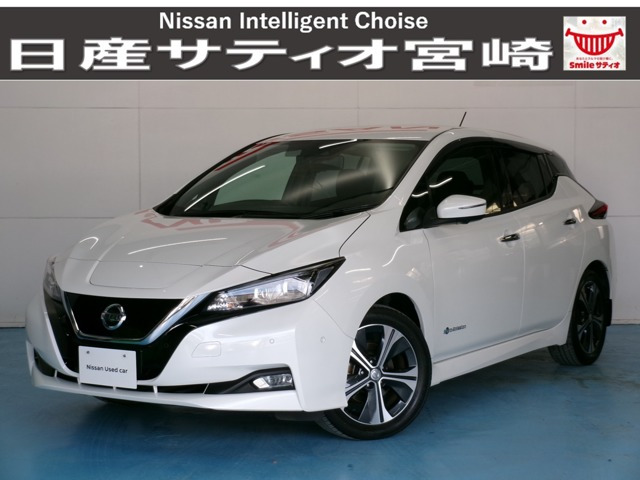リーフ G 