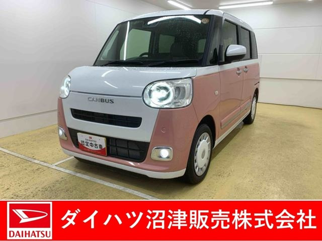 ムーヴキャンバス  ストライプス G