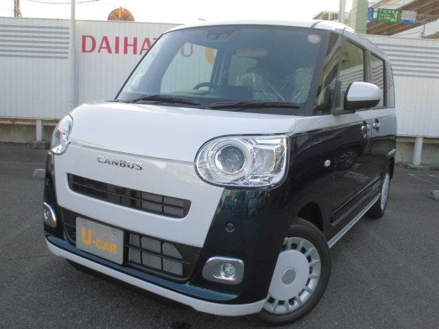 ムーヴキャンバス  ストライプス G