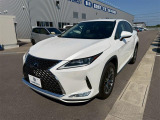 RX 300 