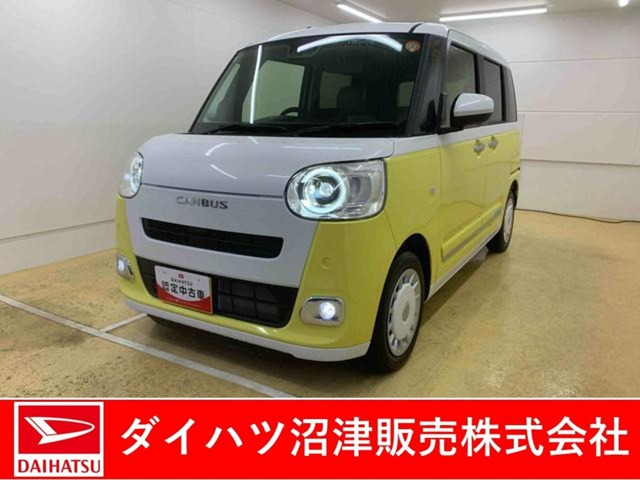 ムーヴキャンバス  ストライプス G