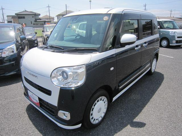 ムーヴキャンバス  ストライプス G